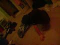Kelsi on her ball