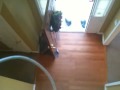 Home for rent 3 2.5 Ellenwood ga