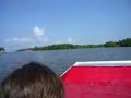 New Orleans Air Boat Swamp