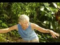 Osa Adventure, Costa Rica