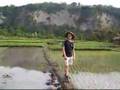 Walking on Rice Field - 1