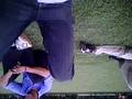 friends enjoyments