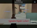 Gunz Access