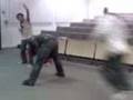 videos de Frog Hop Five