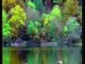 videos de Byle co-Czerwone Gitary-