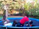 crazyboyz