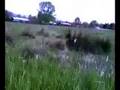 Unexplained Sightings: PigFoot