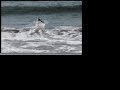 Radio Control Surfer Umina Beach Australia