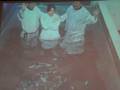 videos de shem baptized in 23/11/2008