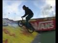 Clip 41