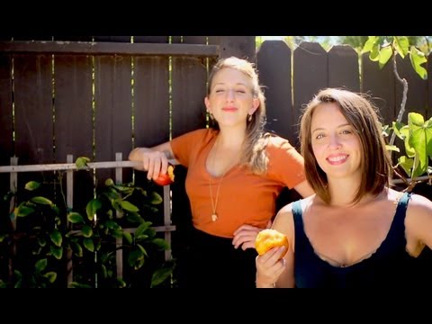 how to grow a lemon tree in ny