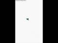 videos de mmv: muere