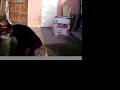 My brother Paul vs Proto Matrix