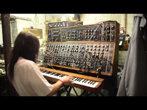 moog minimoog