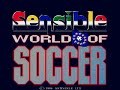 Commodore Amiga: Sensible World of Soccer - Intro