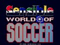 Commodore Amiga: Sensible World of Soccer - Intro