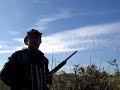 Ver vídeo