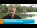 Didžiausia Didžiosios Britanijos gėlųjų vandenų žuvis Peržiūrėti Video