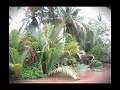 RATATAT - MAHALO