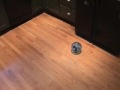 oreo