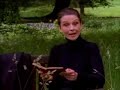 Audrey Hepburn journal Anne Frank
