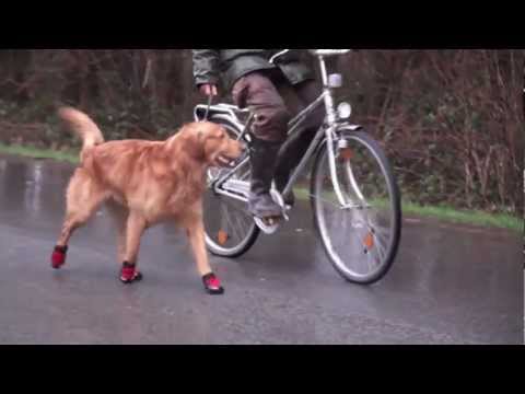 Hundeschuhe Ruffwear Barkn Boots Pfotenschutz Polar Trex | HUND-unterwegs.de