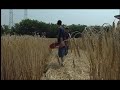 Crop Circle Desio - Italy - 2004