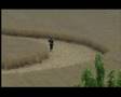 Crop Circle