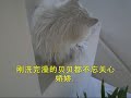 Beibei running between Jing&Jiao