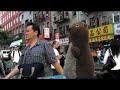 The Stoic Squirrel in the Big City- The Meth Minute 39 Bonus