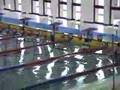 Finswimming EM San Marino 2005