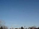 crazy 3d with a sceadu 50 rc heli