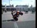 bashan rider