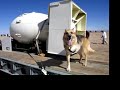 Atomic Three Legged Dog Visits Trinity Site