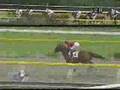 新馬動画13