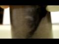 videos de magnetic nanoparticles