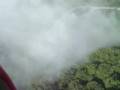 Wag The Fog