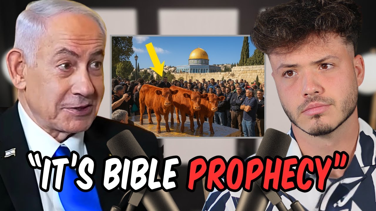 Israel Secretly Prepared To Sacrifice Red Heifer To Rebuild Temple - First Time in 2,000 Years