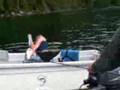 Halibut Wresstling, Ketchikan Alaska, Clover Pass