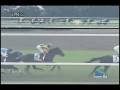 videos de [レースリプレイ] 081115 5京都3 08R