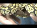 videos de Cleaning 08's - part 3