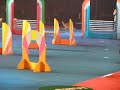 Puzzle and Zephyr Rematch - Superdogs 2008