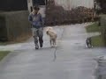 Rumba Rumba