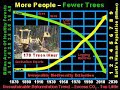 Deforestation - Unsustainable Environmental Destruction Deforestation - Unsustainable Environmental Destruction
