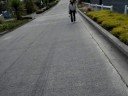 DUNEDIN DUNEDIN