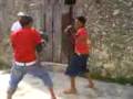 videos de Diablo vs castor