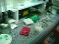 PCR PCR