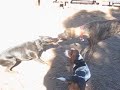 Fun with Friends
