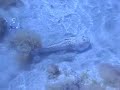 Stargazer going to sleep in the sand