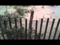 Hurricane Irene- Long Beach Island NJ Update 2